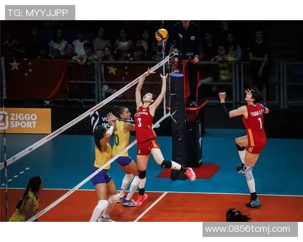 杭州排球队荣登排球个人能力排行榜首位引领全国水平提升